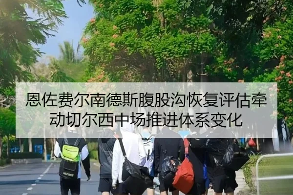 en-zuo-fei-er-nan-de-si-fu-gu-gou-hui-fu-ping-gu-qian-dong-qie-er-xi-zhong-chang-tui-jin-ti-xi-bian-hua-2-261.jpg