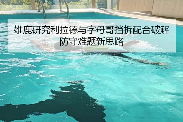 雄鹿研究利拉德与字母哥挡拆配合破解防守难题新思路