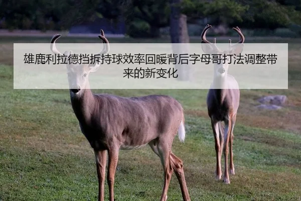 雄鹿利拉德挡拆持球效率回暖背后字母哥打法调整带来的新变化